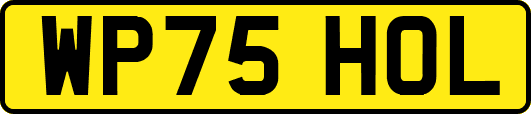 WP75HOL