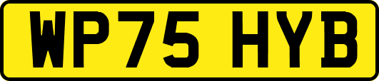 WP75HYB