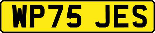 WP75JES