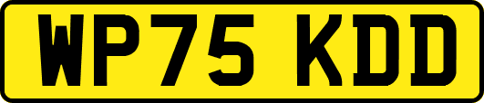 WP75KDD