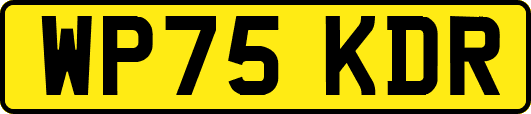 WP75KDR