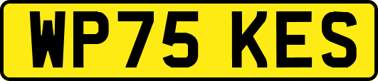WP75KES