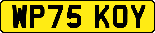 WP75KOY