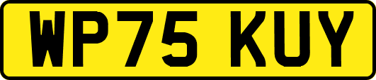 WP75KUY