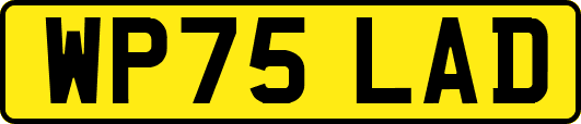 WP75LAD