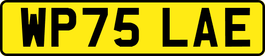 WP75LAE