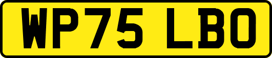 WP75LBO