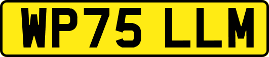 WP75LLM
