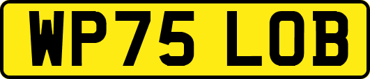 WP75LOB