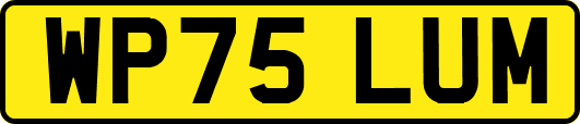 WP75LUM