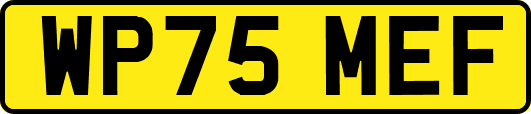 WP75MEF