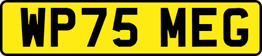 WP75MEG