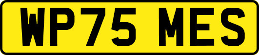 WP75MES