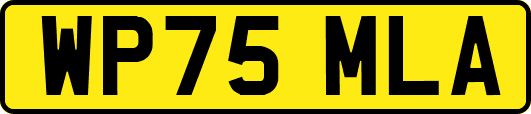 WP75MLA