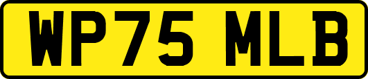 WP75MLB