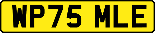 WP75MLE