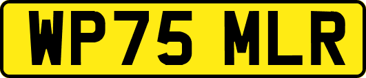 WP75MLR