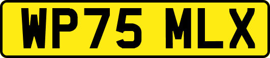 WP75MLX