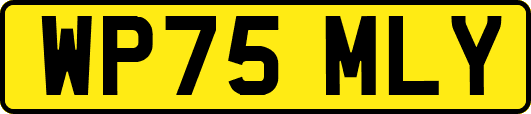 WP75MLY