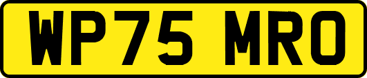 WP75MRO