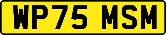 WP75MSM