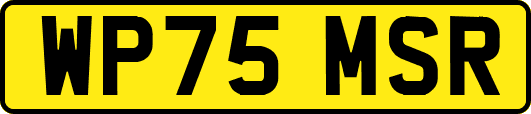 WP75MSR