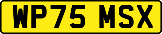 WP75MSX