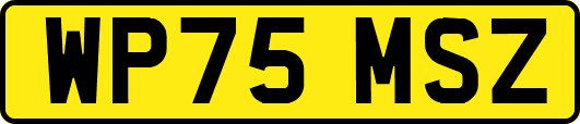 WP75MSZ