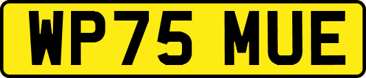 WP75MUE