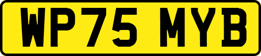 WP75MYB