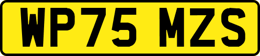 WP75MZS