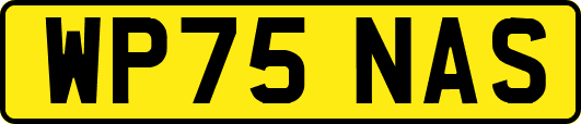 WP75NAS