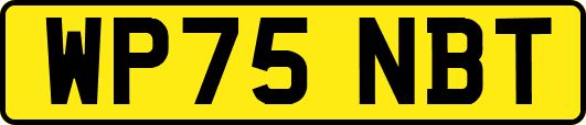 WP75NBT