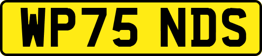 WP75NDS