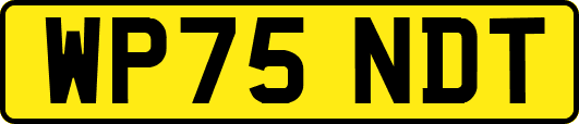 WP75NDT