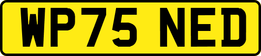 WP75NED