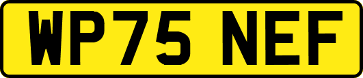 WP75NEF