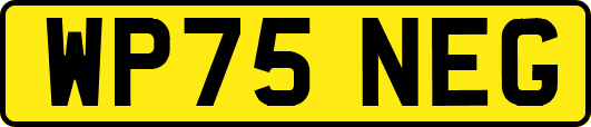 WP75NEG