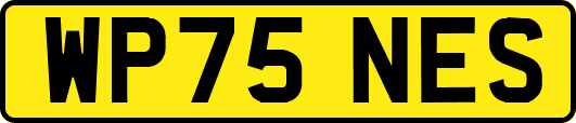 WP75NES