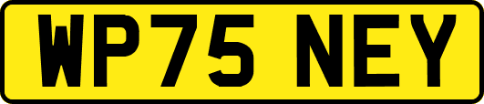 WP75NEY