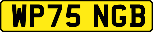 WP75NGB