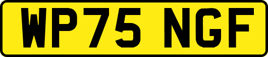 WP75NGF