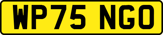 WP75NGO
