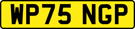 WP75NGP