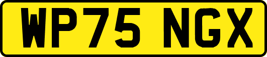 WP75NGX