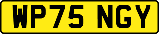 WP75NGY