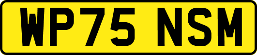 WP75NSM