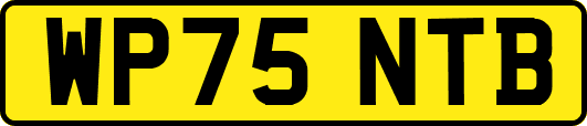 WP75NTB