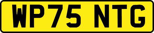 WP75NTG