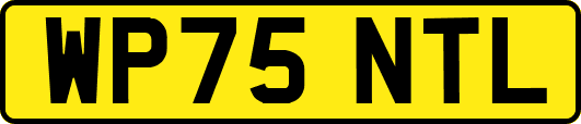 WP75NTL